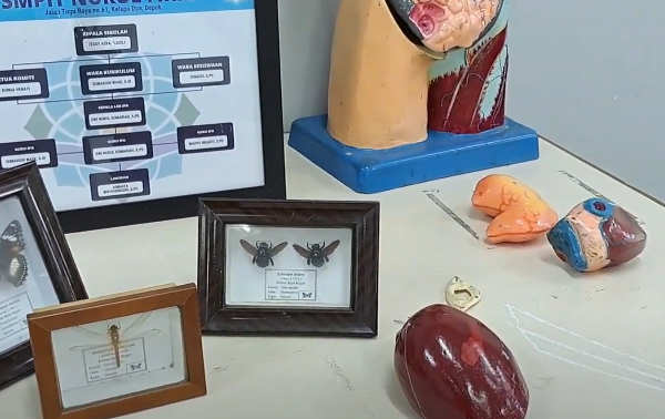 background organisasi