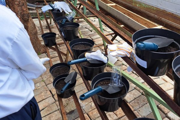 OimB6ZHs50CvcnOAzTW4Yc_XTVm47aiczkJE1ol1C9S3CSH1zTeej9dOTzllf4iaQuf-OGnSTZTA1OQAyDBCFis=w16383